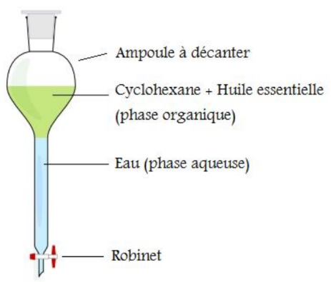 Schéma d'une ampoule à décanter : extraction par solvant