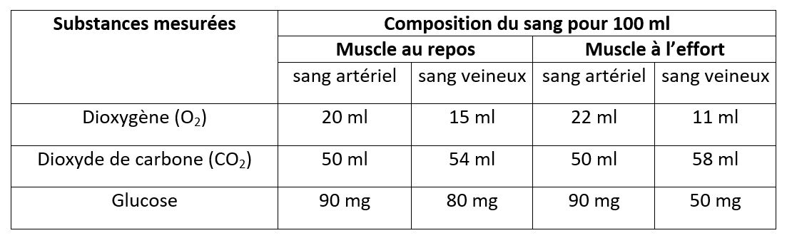 <b>Consommation de glucose et de dioxygène par le muscle au repos et à l’effort</b>