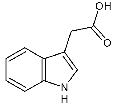 <b>Molécule d’auxine</b><div><i>IAAII.png par socrtwo,via Wikimédia commons, Domaine publique,  https://commons.wikimedia.org/wiki/File:IAAII.png</i><b><br></b></div>