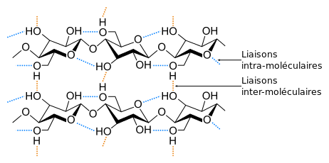 <b>Association de chaînes de cellulose par des liaisons hydrogènes</b><div><i>Liaisons hydrogène entre molécules de cellulose.svg, par Laghi.l,  via wikimédia commons, CC-BY-SA-3.0, https://commons.wikimedia.org/wiki/File:Liaisons_hydrog%C3%A8ne_entre_mol%C3%A9cules_de_cellulose.svg</i><b><br></b></div>