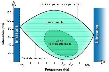 <b>Champ auditif humain</b><div><i>Graphique P. Minary, http://www.cochlea.org/entendre/champ-auditif-humain</i><b><br></b></div>
