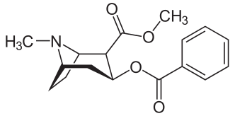 <b>Molécule de cocaïne</b><div><i>Kokain_-_Cocaine.svg, par NEUROtiker via Wikimédia Commons, domaine publique, https://commons.wikimedia.org/wiki/File:Kokain_-_Cocaine.svg</i><b><br></b></div>