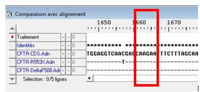 <b>Comparaison sous Anagène de la séquence en nucléotides de l’allèle CFTR-CDS et de l’allèle CFTR-R553X</b>