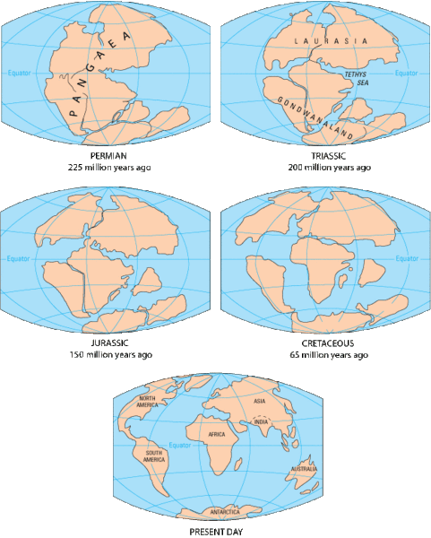 <b>Dérive des continents depuis le Permien</b><div><i>481px-Pangaea_to_present, par Kious, Jacquelyne; Tilling, Robert I.; Kiger, Martha, Russel, Jane, domaine publique, via Wikimédia Commons, https://fr.wikipedia.org/wiki/Fichier:Pangaea_to_present.gif</i><b><br></b></div>