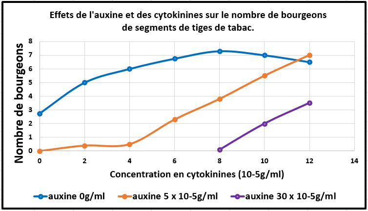 <b>Effets de l'auxine et des cytokinines sur le nombre de bourgeons de segments de tiges de tabac par rapport aux taux des deux hormones végétales. d’après les données de Miller et Skoog, 1953</b>