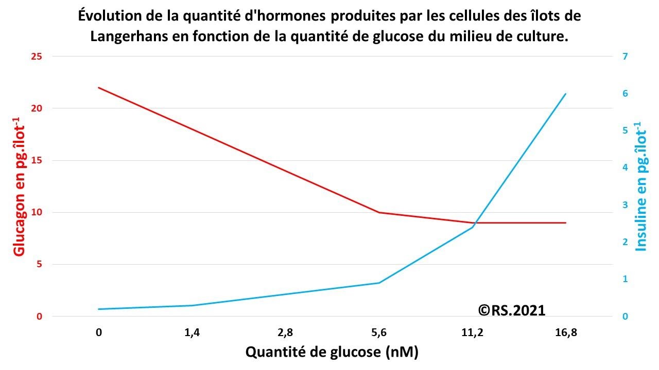 <b>Mesures de la quantité des hormones (glucagon et insuline) produites en fonction de la quantité de glucose du milieu de culture</b>
