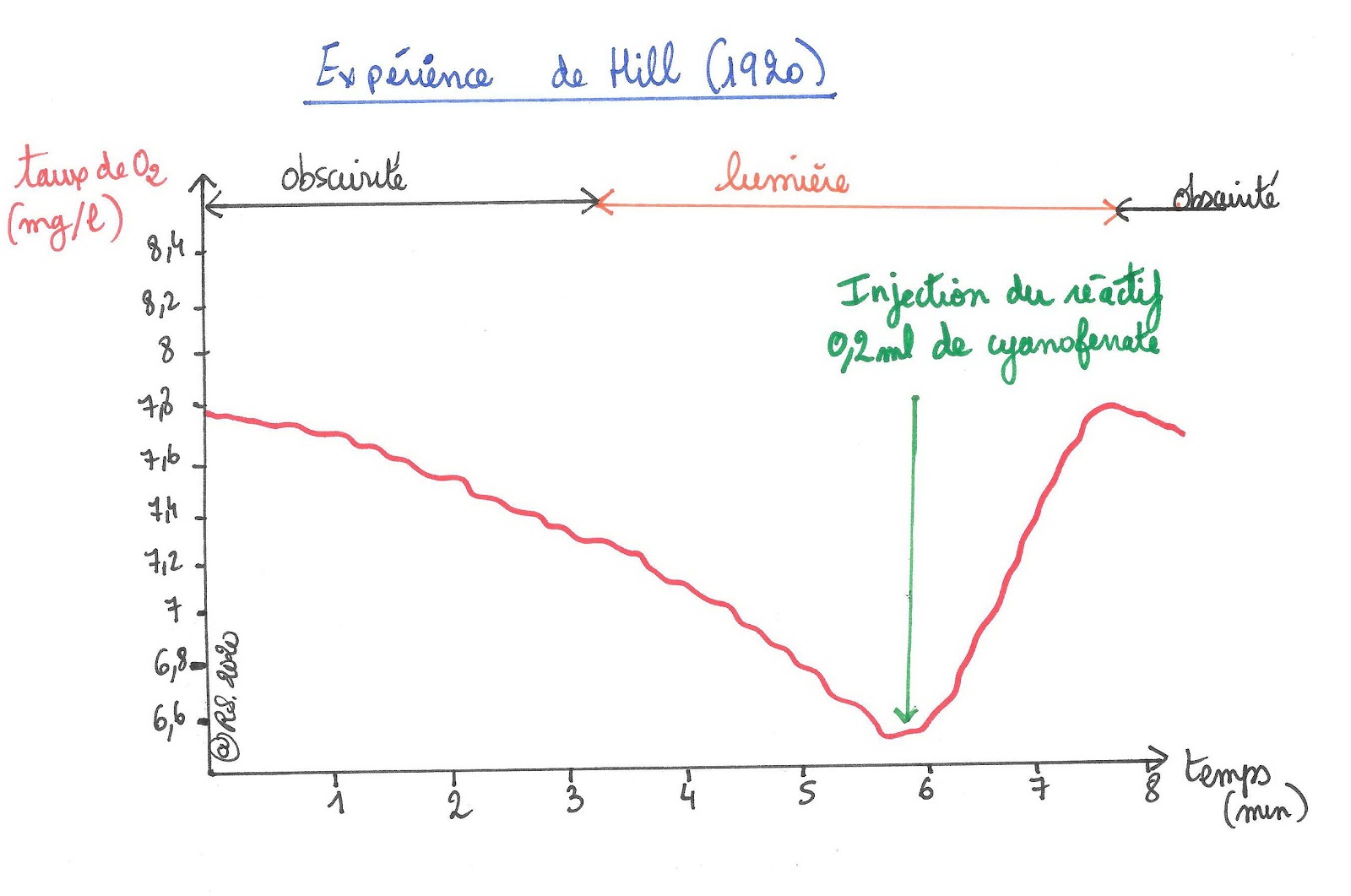 <b>L’expérience de Hill, Évolution de la quantité de dioxygène dans une suspension de chloroplastes en fonction du temps et de la lumière</b>