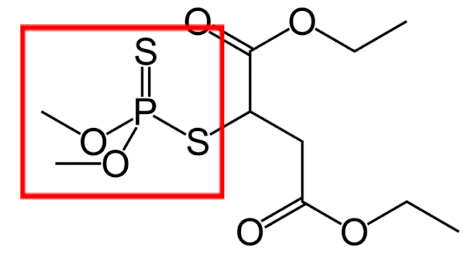<b>Molécule de sarin</b><div><i>Sarin_Structural_Formulae_V.1.svg, par Jü , propre travail, via Wikimédia Commons, domaine publique, https://commons.wikimedia.org/wiki/File:Sarin_Structural_Formulae_V.1.svg</i><b><br></b></div>