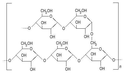 <b>Molécule d’amidon (amylopectine)</b><div><i>Structure de l'amylopectine.JPG par Laranounette via Wikimédia Commons,  CC-BY-SA-3.0, https://commons.wikimedia.org/wiki/File:Structure_de_l%27amylopectine.JPG</i><b><br></b></div>
