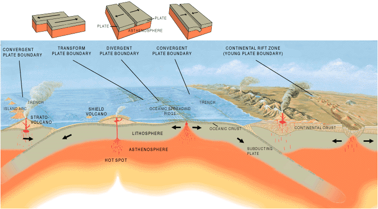 <b>Organisation horizontale de la lithosphère</b><div><i>Tectonic plate limits.png par Jose F. Vigil. USGS via Wikimédia Commons, Domaine public, https://commons.wikimedia.org/wiki/File:Tectonic_plate_boundaries.png&nbsp;&nbsp;</i><b><br></b></div>