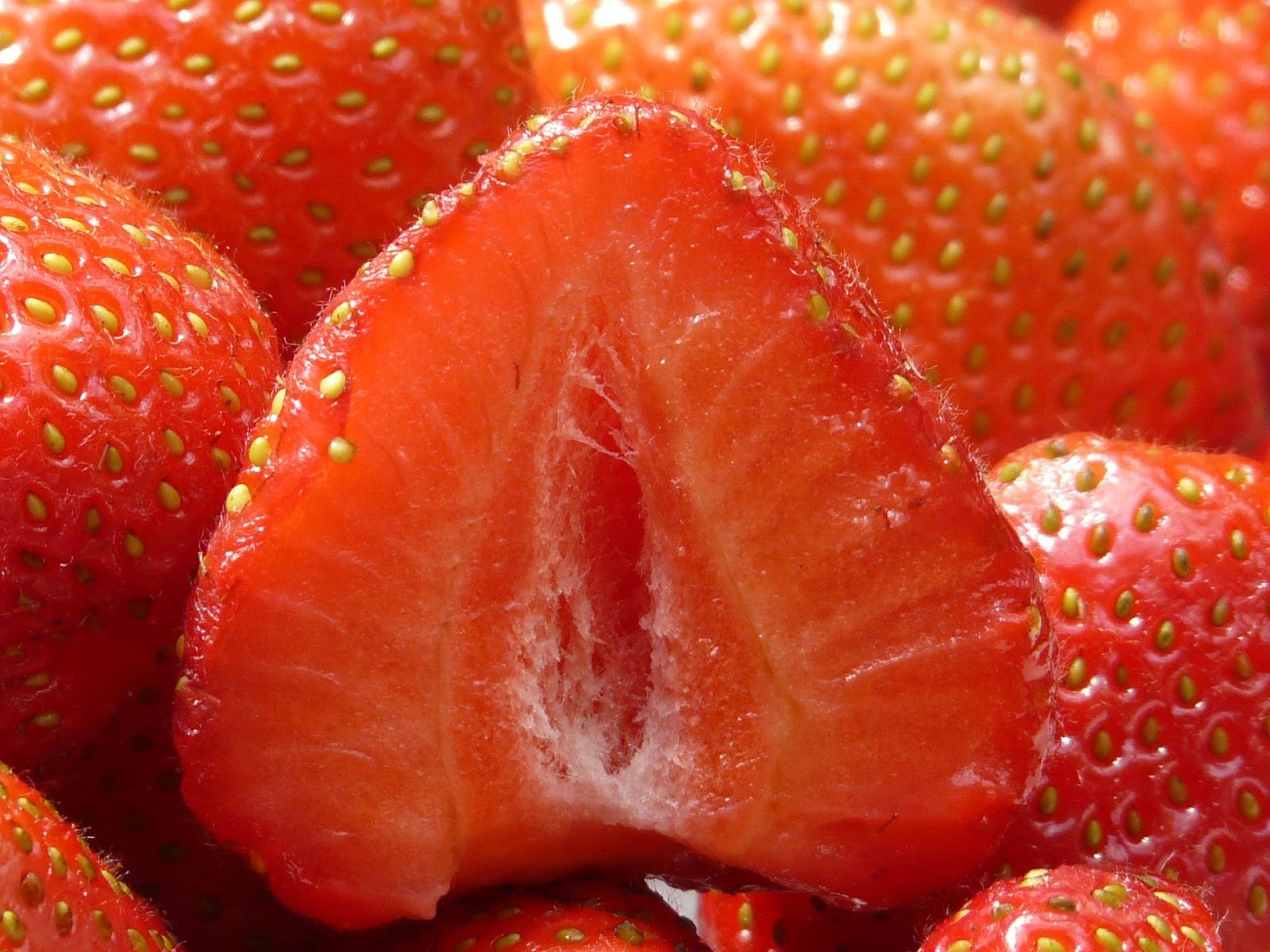 <b>La fraise : poly-akène ou fruit complexe ?</b><div><i>strawberries-58191_1920, Image par Hans Braxmeier de Pixabay , Pixabay licence, libre pour usage commercial, https://pixabay.com/fr/photos/fraises-coup%C3%A9es-en-deux-fruit%C3%A9-58191/</i><b><br></b></div>