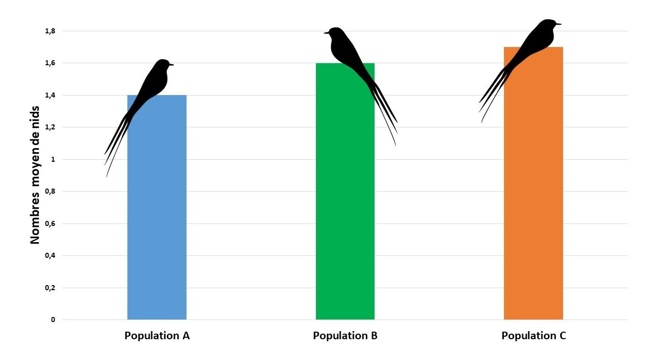 <b>Graphique indiquant le  nombre de nids actifs pour trois populations d’Euplectes</b><div><i>©RS.2020 I</i><i style="font-size: 1rem; letter-spacing: -0.149625px;">mage oiseaux : birds-311856, Image par Clker-Free-Vector-Images de Pixabay , https://pixabay.com/fr/vectors/oiseaux-gazouillis-l-amour-311856/</i></div>