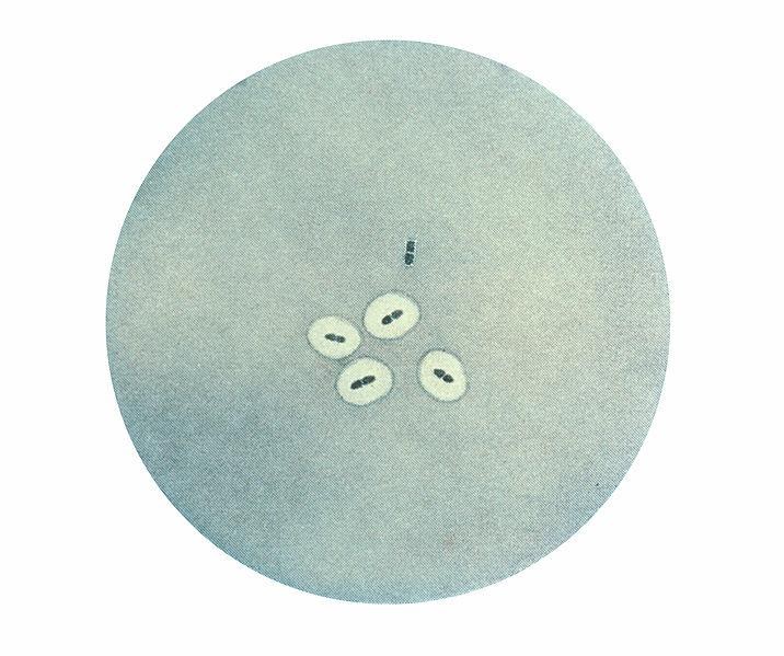 <b>Photomicrographie de couples de bactéries Streptococcus pneumoniae révélant un gonflement capsulaire à l'aide du test de Neufeld-Quellung.</b><div><i>Pneumococcus CDC PHIL 2113.jpg, PD-USGov-HHS-CDC, domaine publique, via Wikimédia Commons,  https://commons.wikimedia.org/wiki/File:Pneumococcus_CDC_PHIL_2113.jpg</i><b><br></b></div>