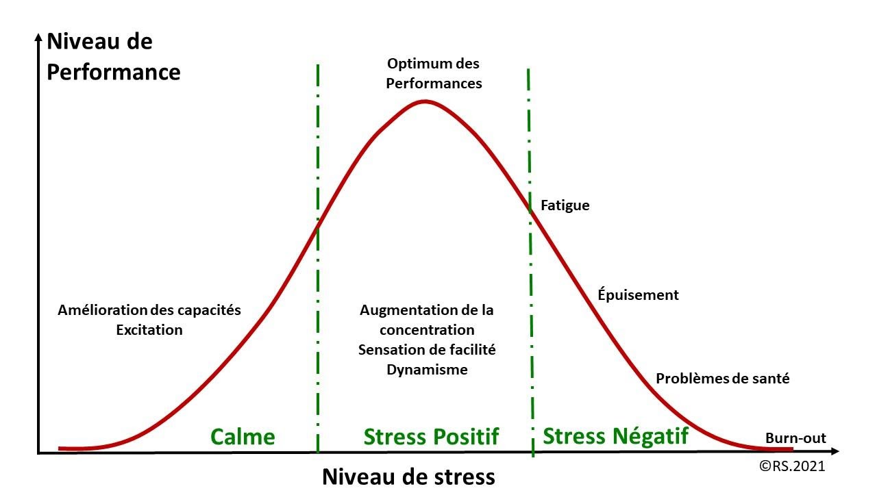 <b>Passage du stress positif au stress négatif et performances</b>
