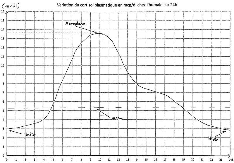 <b>Variation plasmatique du taux de cortisol sur 24h</b><div><i>page1-1200px-Variation_du_cycle_du_cortisol.pdf, par Obry travail personnel, via Wikimédia Commons,  CC-BY-SA-4.0
 https://commons.wikimedia.org/wiki/File:Variation_du_cycle_du_cortisol.pdf?uselang=fr&nbsp;</i><b><br></b></div>