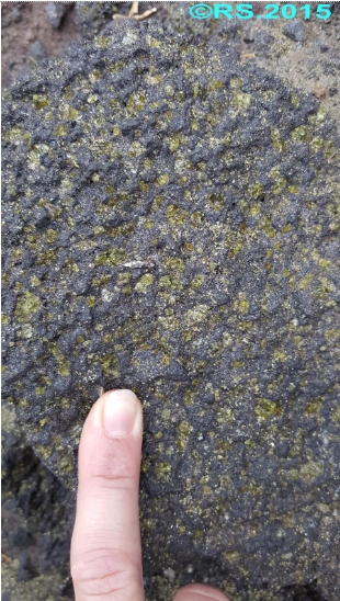 Basalte à olivine du Piton de la Fournaise (île de la Réunion)