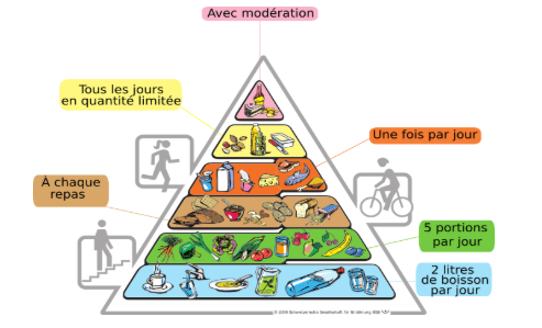La pyramide alimentaire.

Schweizerische Gesellschaft für Ernährung via wikimédia commons
CC-BY-SA-3.0-DE modifiée par Sandra Rivière