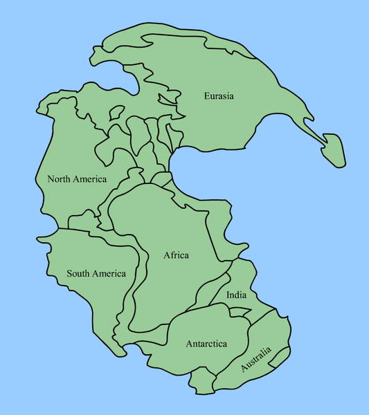 <b>La Pangée selon Wegener<br></b><i>Pangea continents.png par Kieff .  via Wikimédia Commons, CC-BY-SA-3.0-migré, https://commons.wikimedia.org/wiki/File:Pangaea_continents.png</i>
