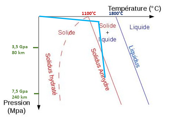 <b>Diagramme de phases de la péridotite et géotherme de la lithosphère océanique à la dorsale ( bleu ciel)</b><div><i>Source : Diagramme de phase.jpg par Aporie, via Wikimédia Commons,  CC-BY-SA-3.0, modifié par Sandra Rivière https://commons.wikimedia.org/wiki/File:Diagramme_de_phase.jpg?uselang=fr</i><br></div>