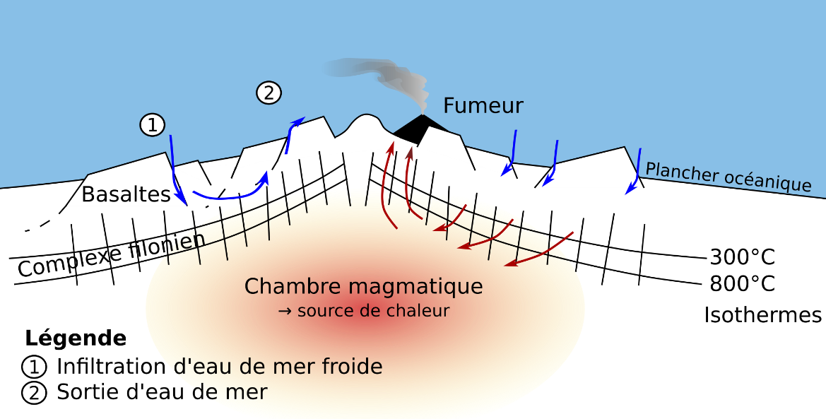 <b>Hydrothermalisme au niveau d’une dorsale rapide</b><div><i>Source : Mont hydrothermal schéma-fr.svg par savant fou via ,Wikimédia Commons, CC-BY-SA-3.0,2.5,2.0,1.0 modifié par Sandra Rivière https://commons.wikimedia.org/wiki/File:Mont_hydrothermal_sch%C3%A9ma-fr.svg?uselang=fr</i><b><br></b></div>