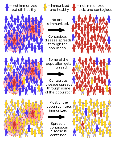 <b>Efficacité de la protection collective selon le taux de couverture vaccinale</b><div><i>Herd immunity.svg par Tkarcher via Wikimédia Commons, CC-BY-SA-4.0, https://commons.wikimedia.org/wiki/File:Herd_immunity.svg?uselang=fr</i><b><br></b></div>