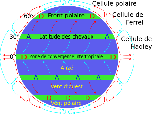 <i>Atmospheric circulation-fr.svg par Pinpin, via wikimedia commons, CC-BY-SA-3.0</i>
