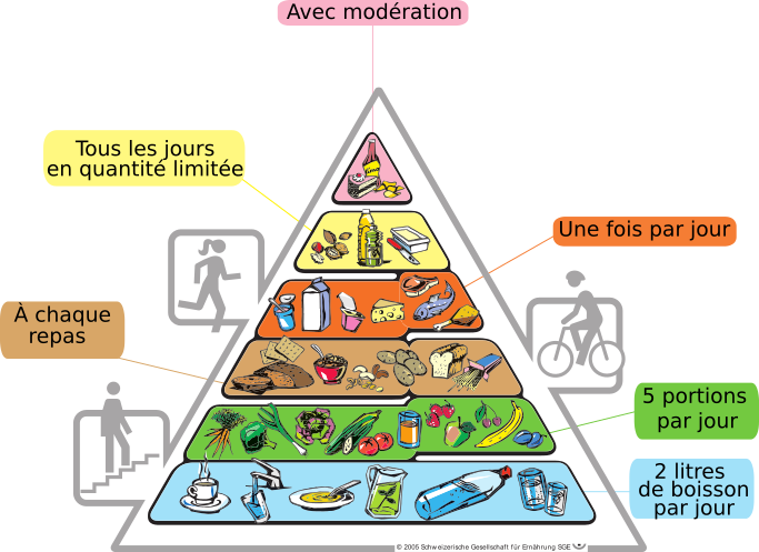 <b>La pyramide alimentaire</b><br><i>Auteur : Schweizerische Gesellschaft für Ernährung via wikimédia commons CC-BY-SA-3.0-DE modifiée par Sandra Rivière</i>