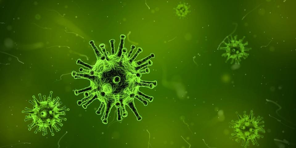 <b>Virus (représentation artistique)<br></b><i>Par quimono, via pixabay, CC0, https://pixabay.com/fr/virus-microscope-infection-1812092/ </i>
